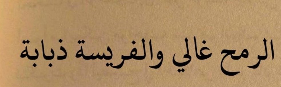 The spear is expensive and the prey is a fly