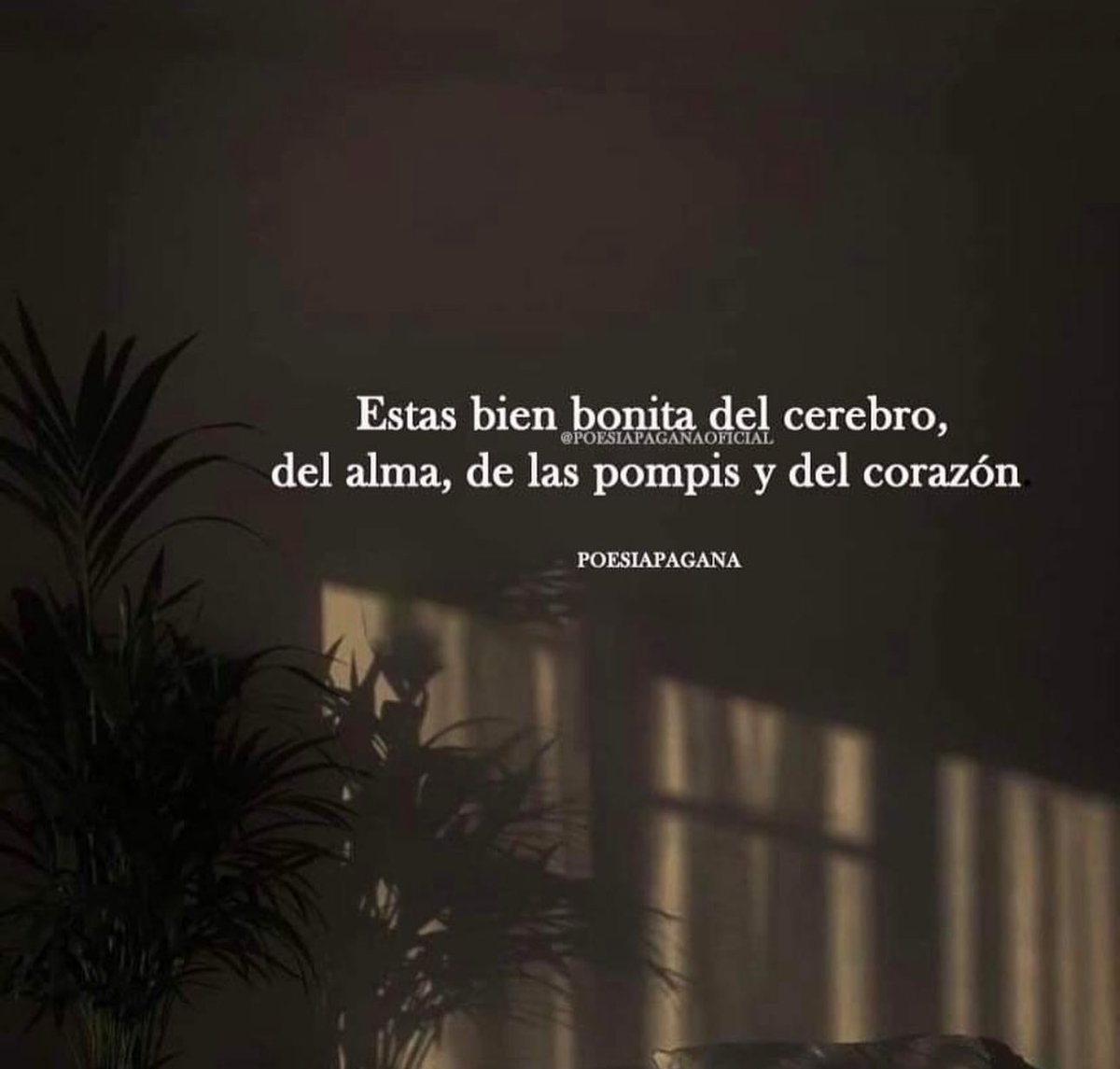 alex_aguilare's tweet photo. Y si… https://t.co/ad3NGjnada