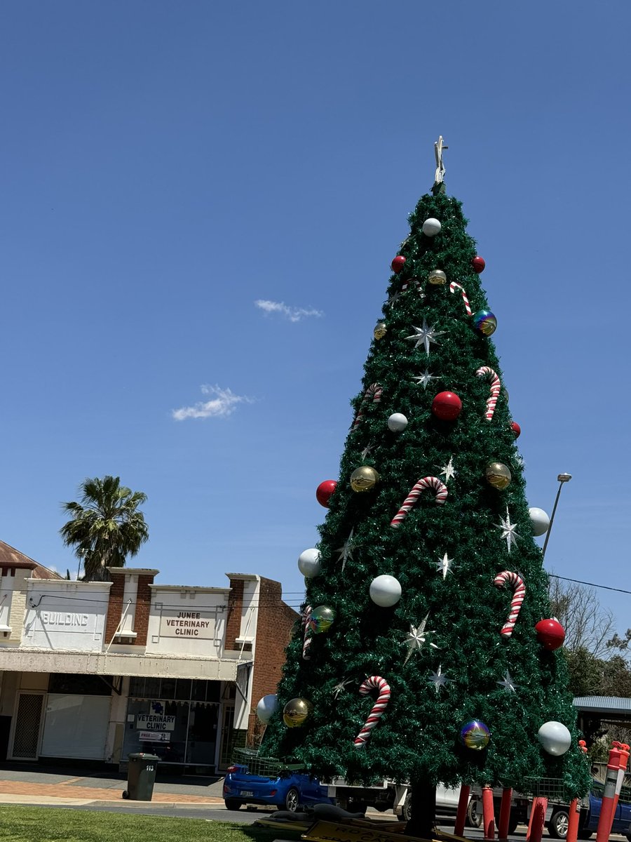 M_McCormackMP's tweet photo. All is in readiness for the fun-filled Christmas on Broadway at #Junee with street stalls, the lighting of the🎄and even a visit by some jolly fellow named 🎅. Should be a lot of good family entertainment. https://t.co/oXJloxx0nf