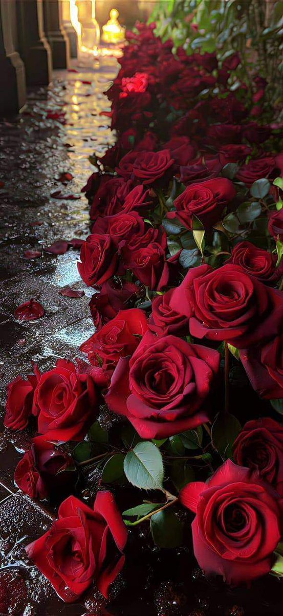 tishnalb's tweet photo. اُسے پتا ہی نہیں موسمِ خزاں کا دکھ
وہ اِس لیے کے اُسے سب ہرا میسر ہے

یہ پہلا دکھ ،،، کہ مجھے جانتا نہیں کوئی
یہ دوسرا  ،،،  اُسے ہر دوسرا میسر ہے...!! 
@sadaftania40581 @Lahorikuri6877 @SalmaKh44159769 @AqsaKhan146681 @Getii_4042 #قومى_زبان https://t.co/f2i3O9UBps