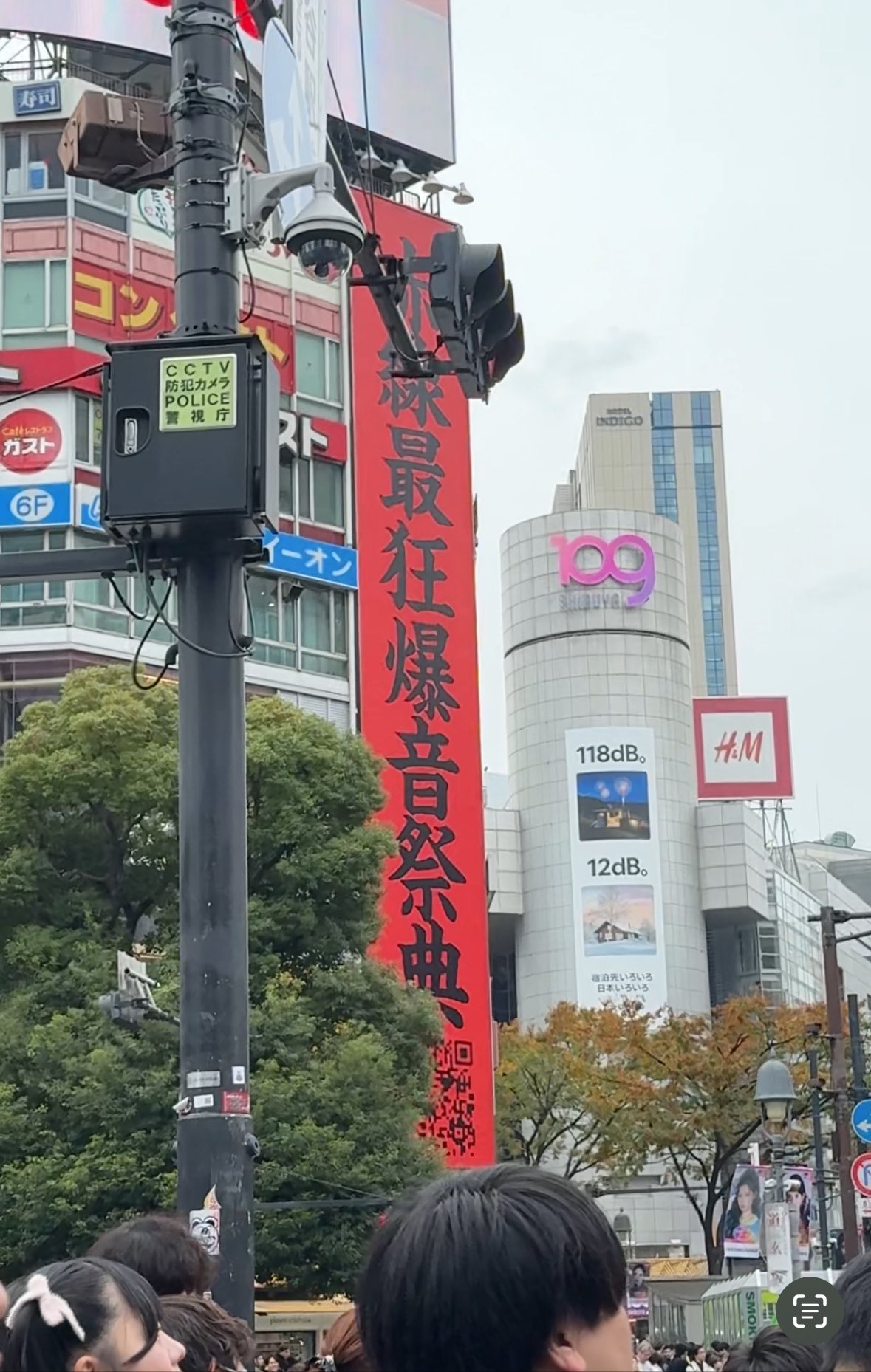 赤線  / X
