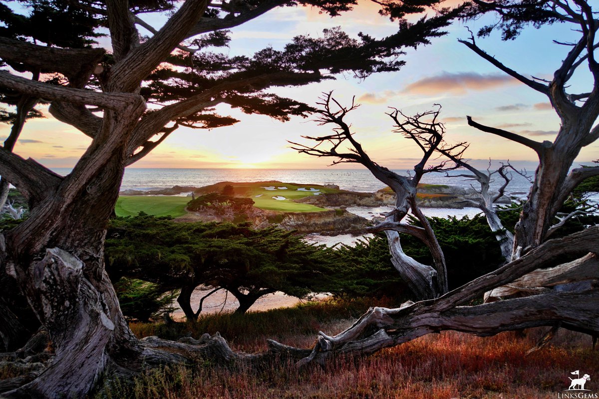 LinksGems tweet media