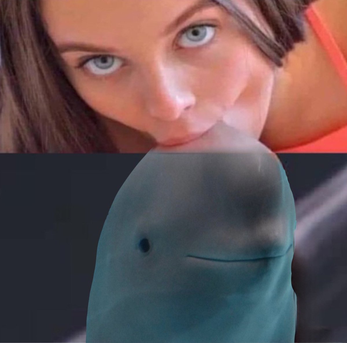 HANBAO INTERN tweet media