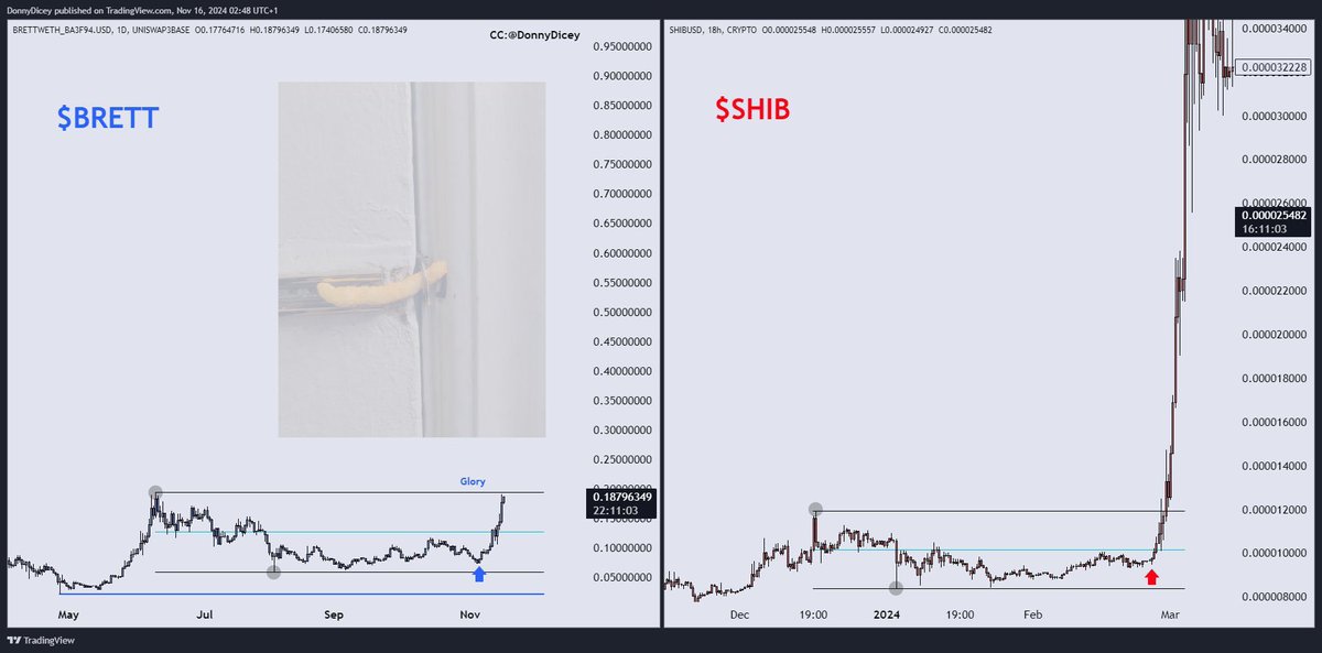 The SHIB of this crypto bull run is $BRETT on <a href="/base/">Base</a>