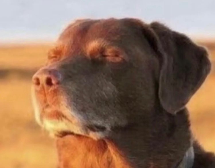 Batman2k__'s tweet image. Amanda Serrano got ROBBED