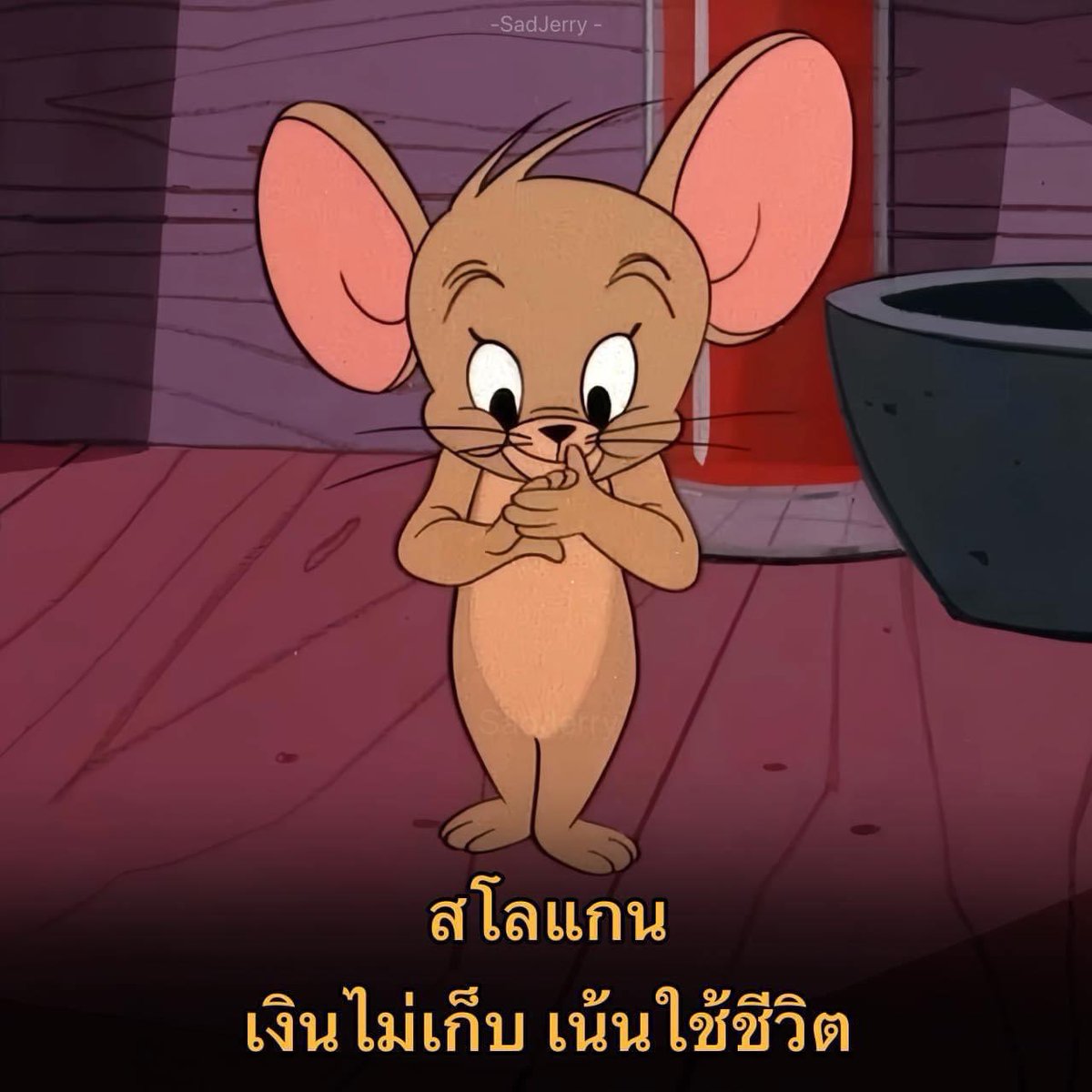 ช่างแม่ง🐰🏳️‍🌈 tweet media