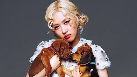 Piano_Kannazuki's tweet photo. @Pianotex @Piano_kyoikugkG @numberoneHQ @BrunoMars @Grinemo @BuzzFeedCeleb 📺🇺🇸@BuzzFeedCeleb🎙#Puppy🐕
🆕👩‍🎤#ROSÉ🇳🇿@numberoneHQ(#BLACKPINK)&amp; 🧑🏾‍🎤@BrunoMars #BrunoMars-🎵#APT.🥃🎮🍻🏠💞⚡️
https://t.co/Dq21FUJkGf
#キークリン #ギターペット #フトーゴムD #ピアノベースSPD
#KPOP🇰🇷#USPOP🇺🇸#BLINKS
#PianotexRoom🐸@Piano_kyoikugkG @Pianotex
🎦https://t.co/czJffeiN8b https://t.co/68XJmL0yed