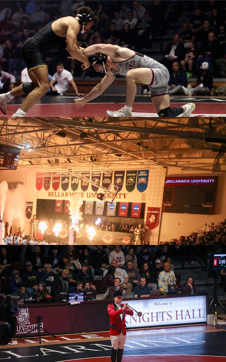 Bellarmine Wrestling tweet media