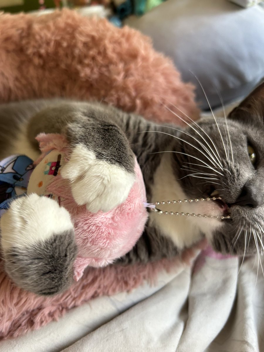 timelymarchwolf's tweet image. STOP EATING HER