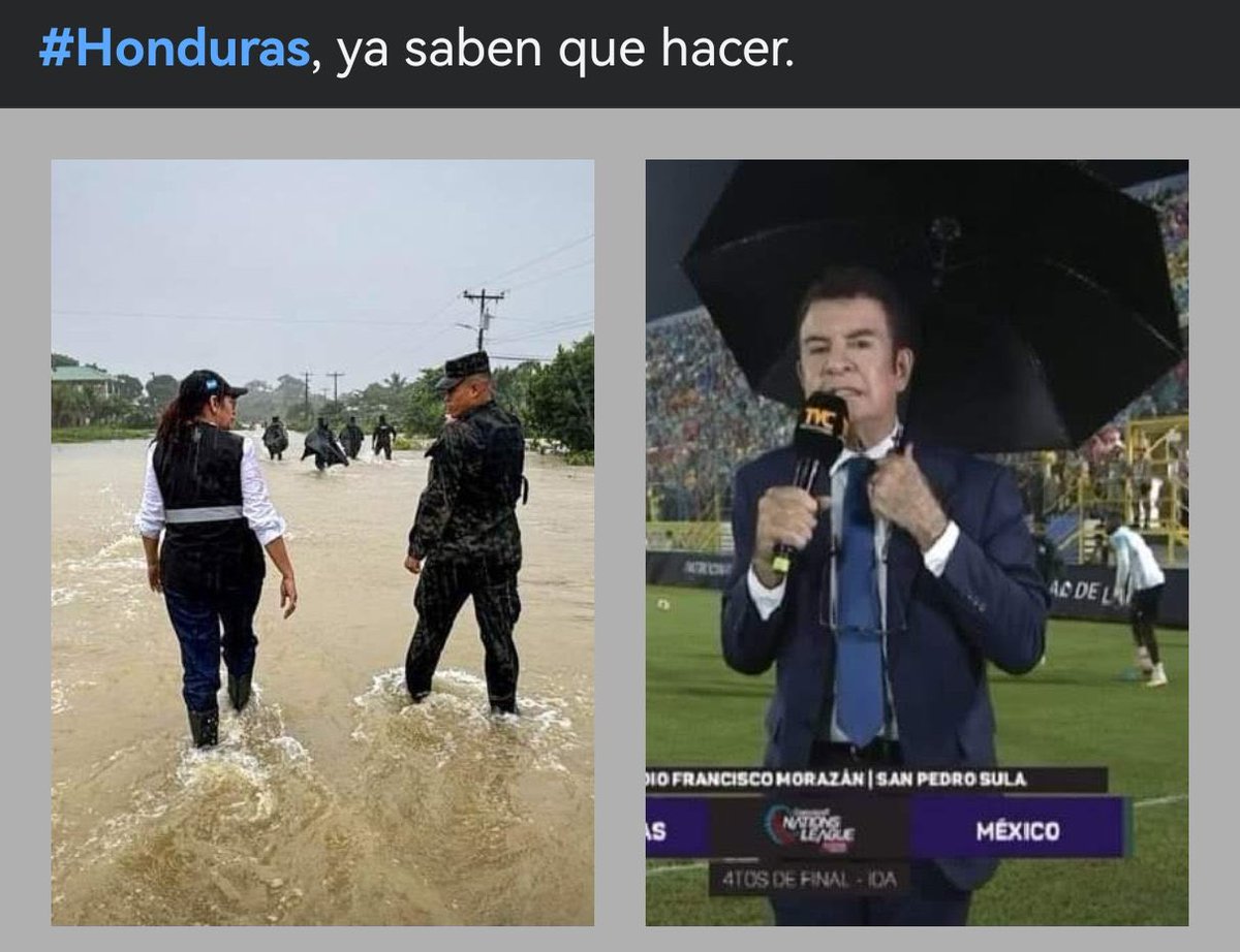 fredypavon tweet media