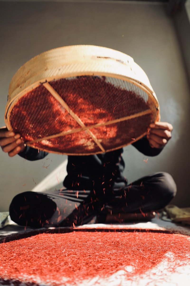 JandKTourism's tweet photo. The saffron fields of Pampore: Kashmiri saffron is renowned for its deep color, strong aroma, and rich flavour.The saffron harvest in Kashmir, while beautiful and culturally significant, continues to be a symbol of the region's rich heritage.
#pampore #saffron #JammuKashmir https://t.co/oUwvRqOyKM