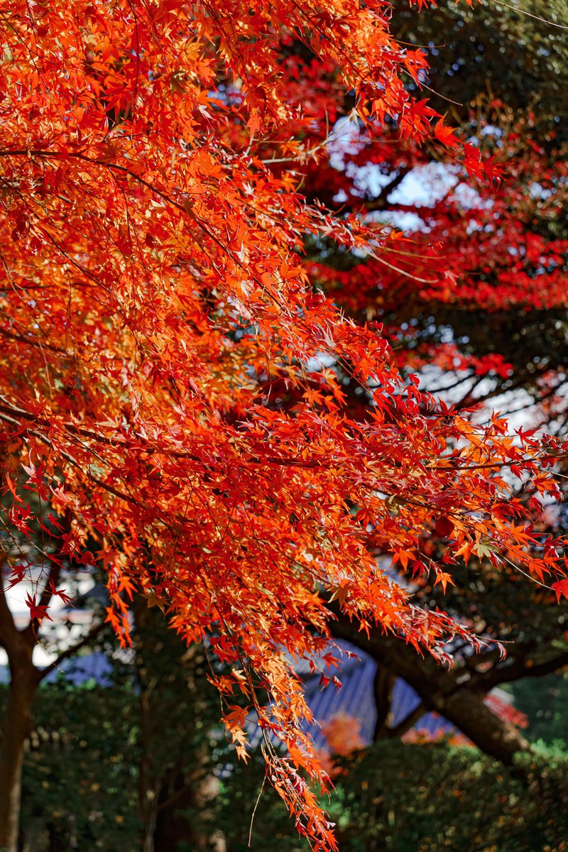 mt55674's tweet photo. 2年前

#sonyα7c https://t.co/ExJVBh3xtQ