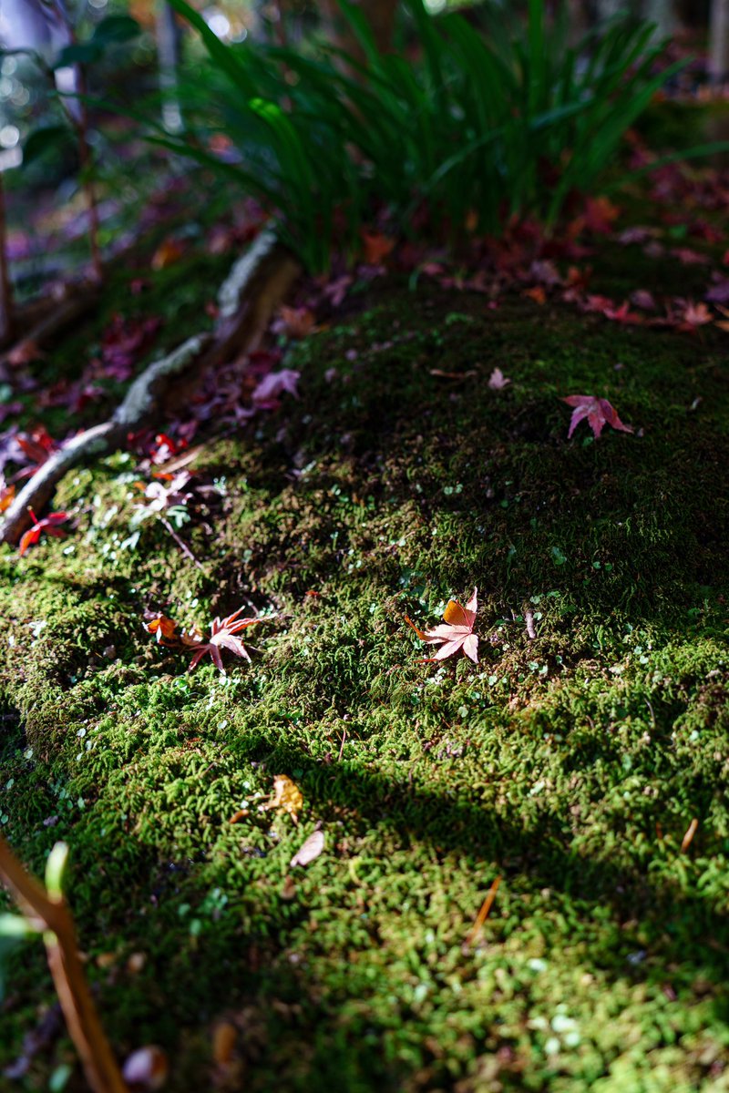 mt55674's tweet photo. 2年前

#sonyα7c https://t.co/ExJVBh3xtQ