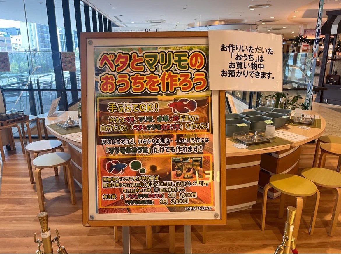aquaforest_'s tweet photo. ソラマチ
本日15日（土）11時から開催しておきます！！！16日(日)まだ開催中です！！

ぜひご来店お待ちしております！！ https://t.co/nOLaGCaa8d