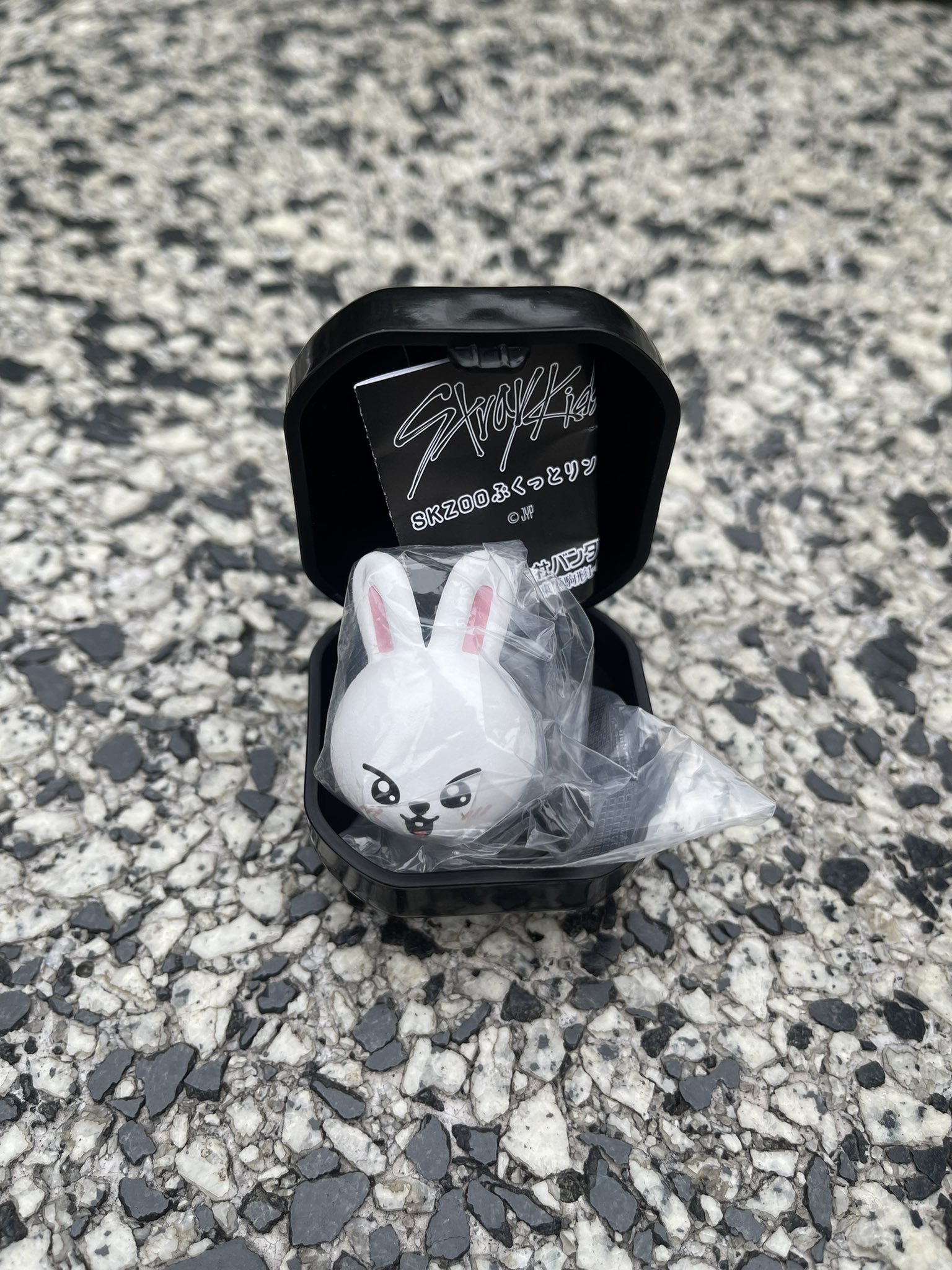 straykids skzoo 目深 ぷくっとリング リービット リノ