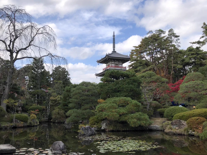 庭園にも入りました。先月よりも紅葉が進んでいて見頃な樹も多いです。天気が良いからか、見学している人も多いですね。 