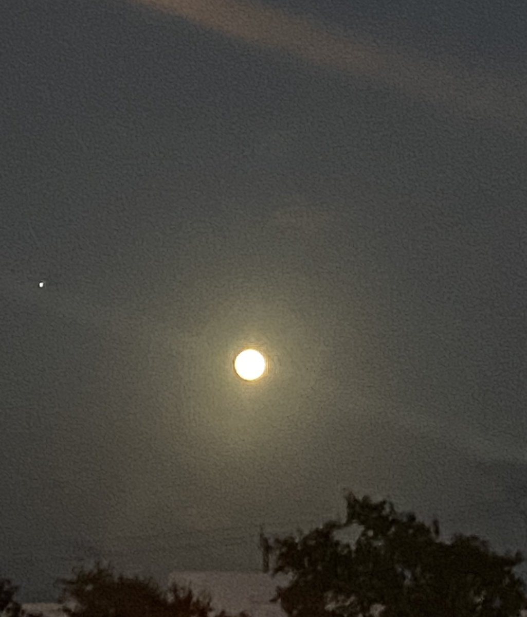 lisagrossi1's tweet photo. @digijordan Fort Lauderdale 🌕 https://t.co/mOehXTcq1n