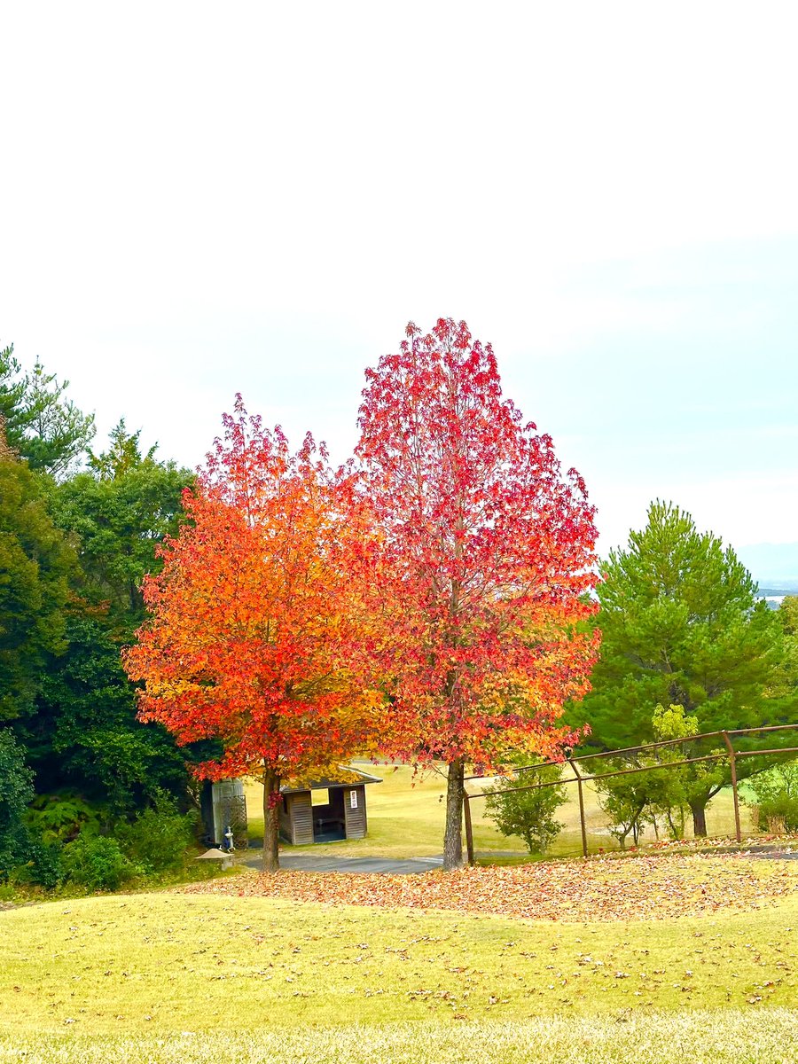 OUT 38

今日も爆益な予感がする🤤

#ゴルフ好きと繋がりたい