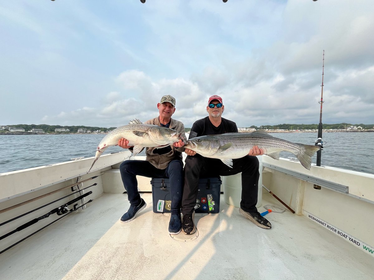 Went fishing off Wells, ME - caught about 2 dozen with a friend 38-44"