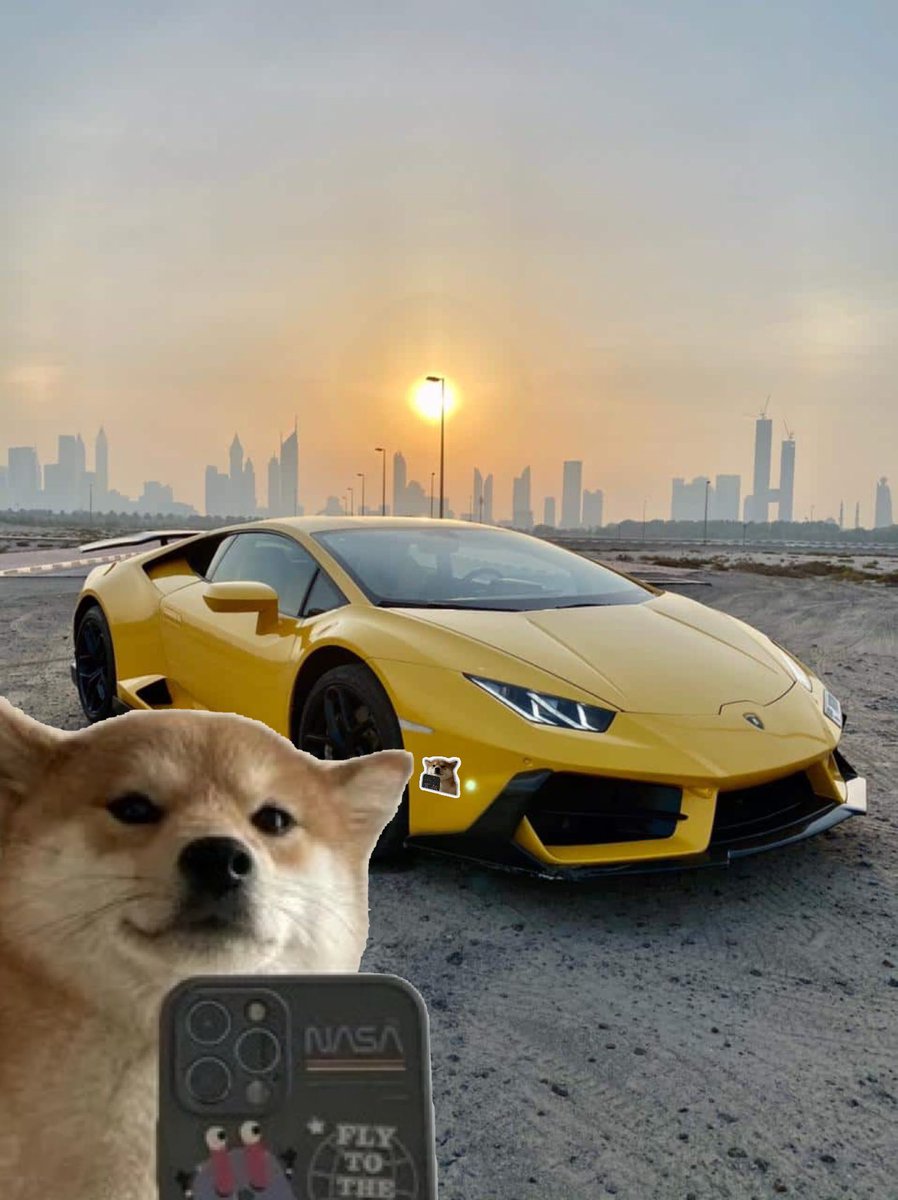 odb792's tweet photo. Testing if $selfie bros still loud even on a dip 

$selfie https://t.co/O0CQuHEanD