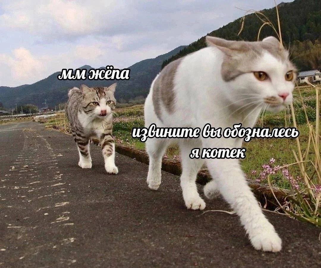 я и кто угодно