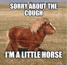 Lil' Hoof tweet media