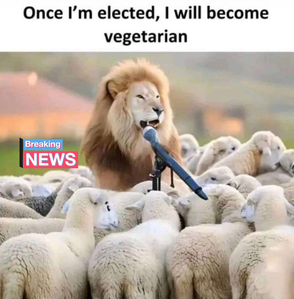 True picture of the #Election campaign
 
#AssemblyElections2024 #Maharahstra