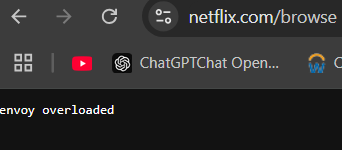 Ok gg Netflix,  your site completely crashed the moment Mike Tyson came out.
