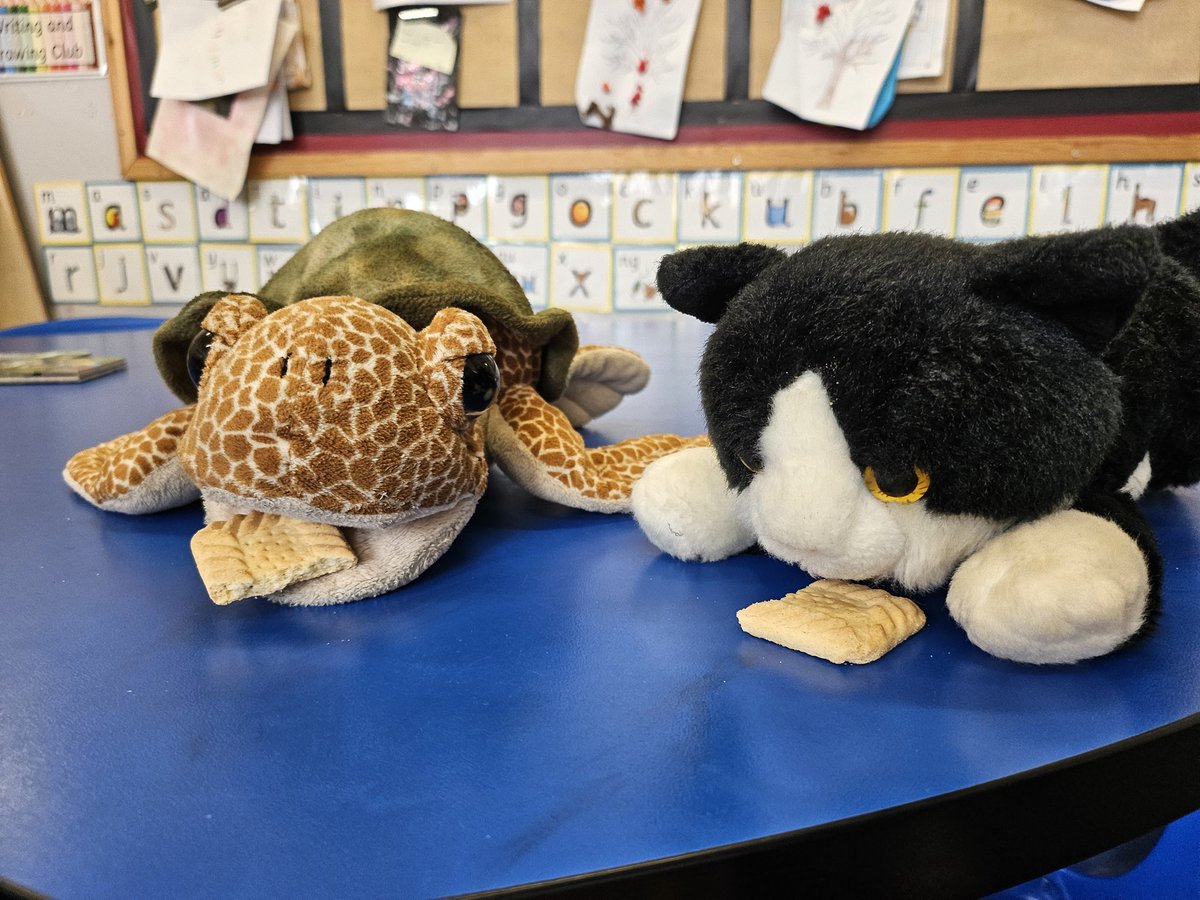 WoodhouseClass's tweet photo. In Maths today, Concept Cat shared his food with Tommy the Turtle to help us understand what 'half' means. https://t.co/4gsw7qbtDw