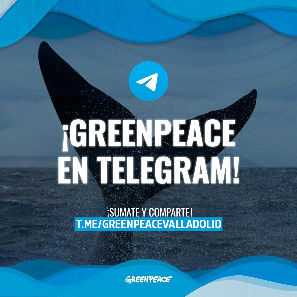 ¿No quieres perderte ninguna noticia sobre #medioambiente ni ninguna de las actividades que realiza el grupo de #Greenpeace en #Valladolid?
Pues te lo ponemos fácil, únete a su canal de telegram y ¡no te pierdas nada!

t.me/greenpeacevall…
#telegram #greenpeace #medioambiente