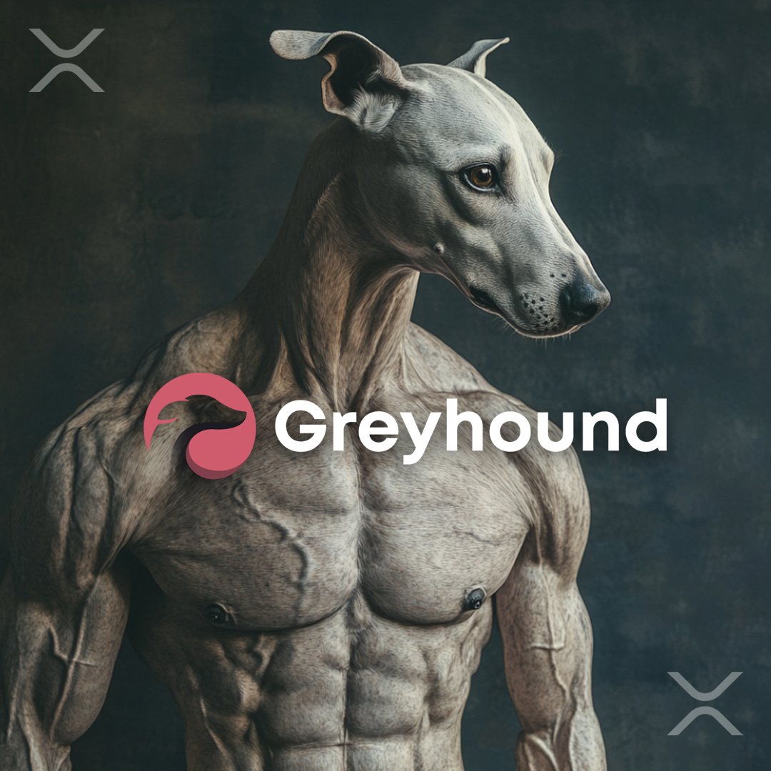 XRPLGreyhound's tweet photo. 🚀 The Greyhound Gears Up for the Meme Coin Marathon! 🐕💨

Remember Greyhound, the long-distance runner in the crypto race? 🎽 We've been sprinting for over 3+ YEARS on the #XRPL, and now we're not just in the race; we're setting the pace!

🔥 Why Greyhound? 🔥
Endurance: Like the real greyhound, we thrive on long runs, not short sprints. With longevity in the #XRPL ecosystem, we're built for the marathon!
Recent Developments: 
🏆 Ripple Grant Winner: We've been recognised for our innovation by none other than @Ripple themselves!
🎨 NFT Integration: Dive into our world with unique Greyhound NFTs, enhancing your crypto experience.
👥 Established Team: Our pack is led by seasoned developers and crypto enthusiasts committed to your success.

🌟 Now, about those Meme Coins 🌟 With the #Memecoins craze hitting #XRPL, we're here to remind you:  Greyhound was here before the meme wave, and we're still leading the pack!

🚀 Join the Chase!
🐾 Follow us for updates that keep you ahead of the pack.
📢 Share this post to spread the word - #WeGoingToMakeIt together!

#XRPL #Ripple #FirstLedger #Memecoins #Crypto #WGMI

Let's race towards the future of crypto together! 🐾🚀