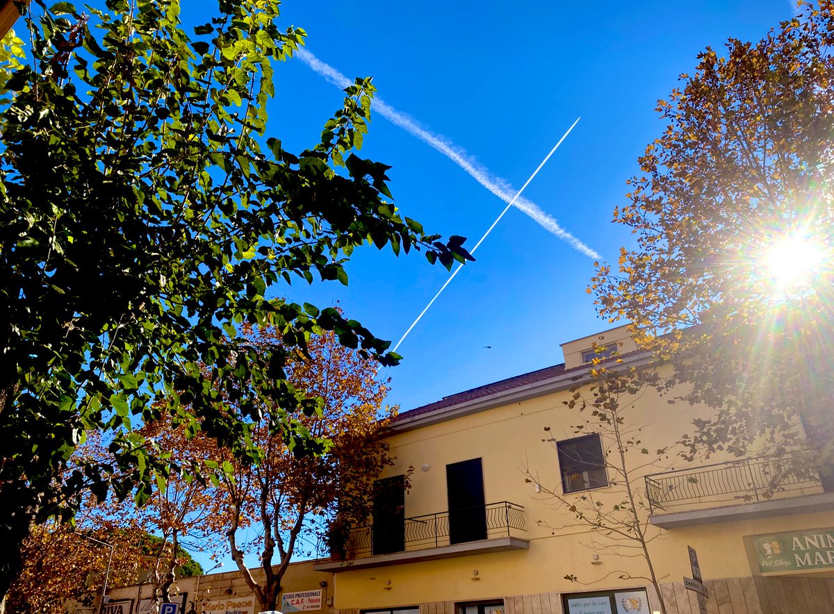 SPaiolo's tweet image. Sabato Mattina
In piedi da ore …
Cose da fare.
Ma con una gran voglia di trovare un piccolo angolo “riparatore” … 

#GiornateAutunnali
#Novembre2024 
#SantaMarinella