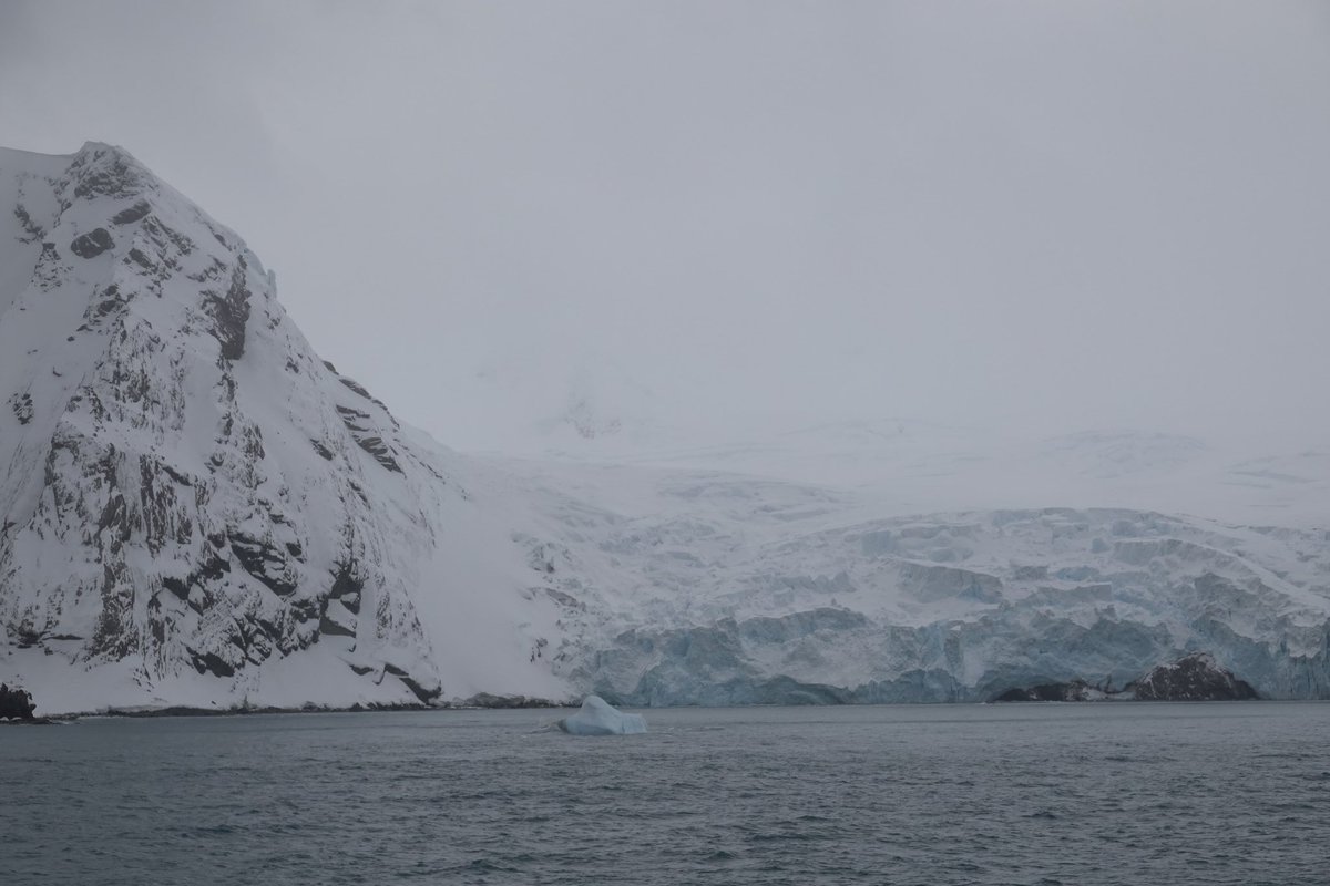 garybembridge's tweet photo. We sailed close to Point Wild Elephant Island on #SilverEndeavour, narrow and hostile spot where 22 of Shackleton’s Antarctic expedition sheltered for 4.5 months over why he attempted to sail over 600 nautical miles to find a ship to rescue them.#antarctica #pointwild https://t.co/DdlofU5fiY