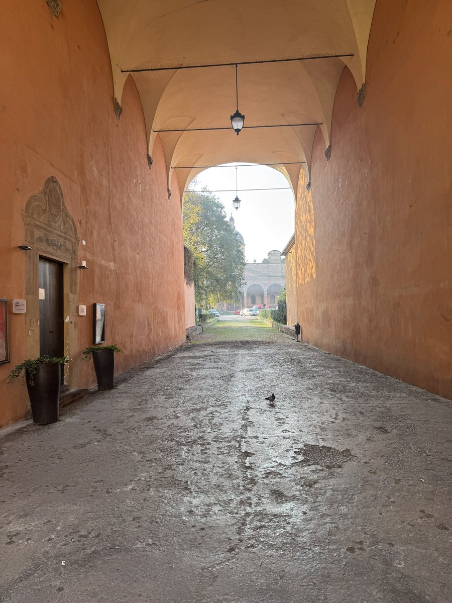 mostacci's tweet image. Bologna , Baraccano