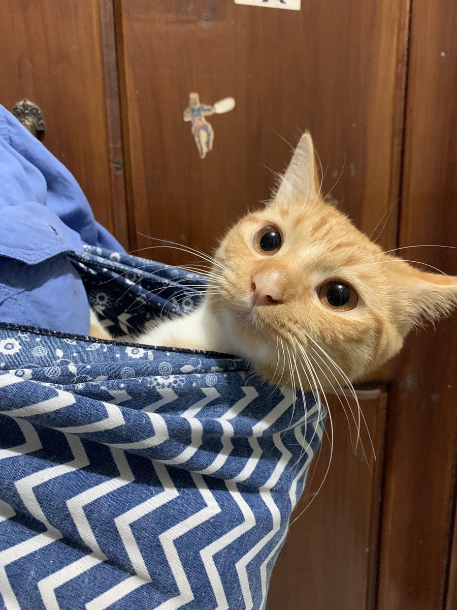 Ayo mah keliling pim aku udah siap