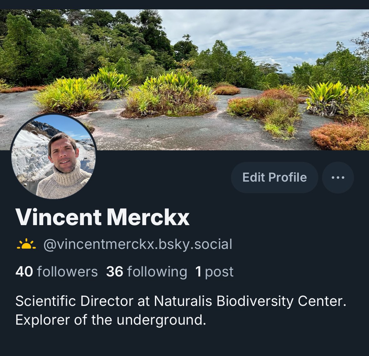 Vincent Merckx tweet media