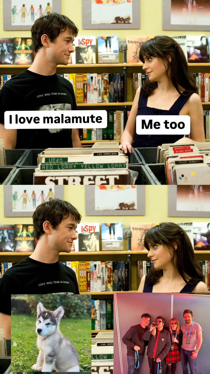 Malamute (@malamutepop) on Twitter photo 