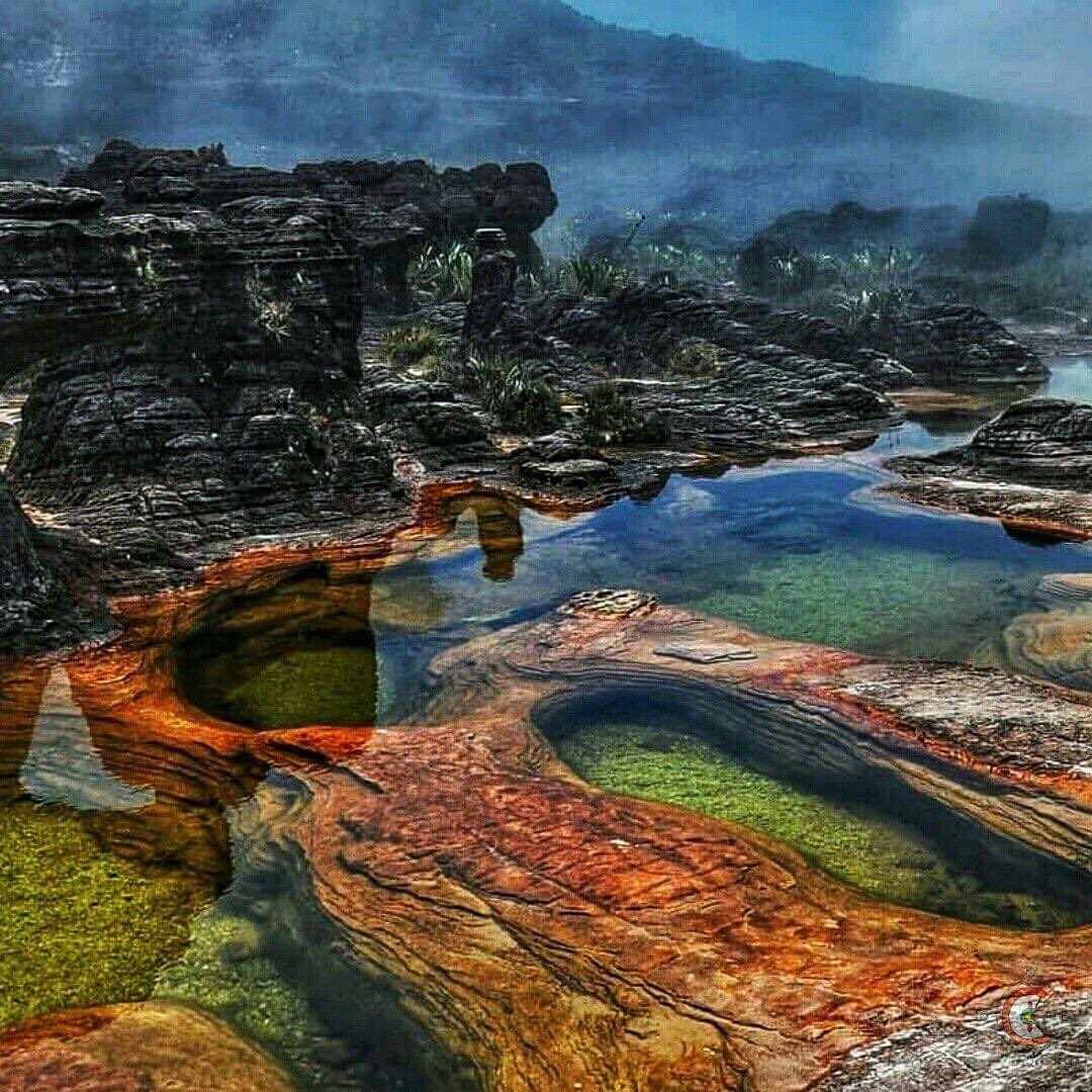 GianlucaCoccon1's tweet photo. Maravillosa postal 
JACUZZIS DEL RORAIMA 
Parque Nacional Canaima…
Edo Bolívar VENEZUELA 
🇻🇪🇻🇪🇻🇪🇻🇪🇻🇪🇻🇪🇻🇪🇻🇪🇻🇪🇻🇪
#VenezuelasiempreVenezuela https://t.co/Qs2vzfkpDg