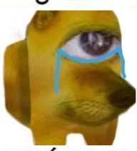 Bob tweet media