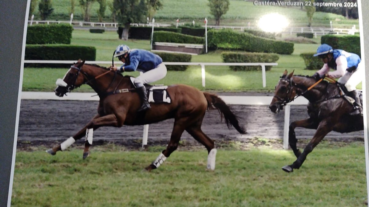 customers are the lifeblood of our business and this week I have had 2 special messages. <a href="/AnneGuildoux/">Anne laure Guildoux</a> Cheval a gagné, produits top 👍and from Craig Benton ‘. winner again <a href="/ChelmsfordCRC/">Chelmsford City Racecourse</a> thanks to Gastro Race. I also won Best Turned Out again horses look amazing.#winningtogether