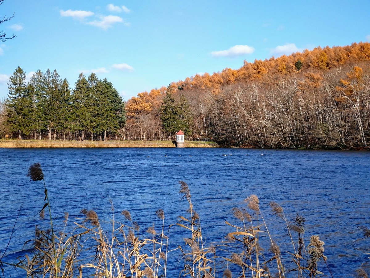 cha_bo_zu's tweet photo. 札幌市の西岡公園。
紅葉も見納めかなと思い、ウォーキングしてきました(´ｰ｀) https://t.co/iXWI7tkK59