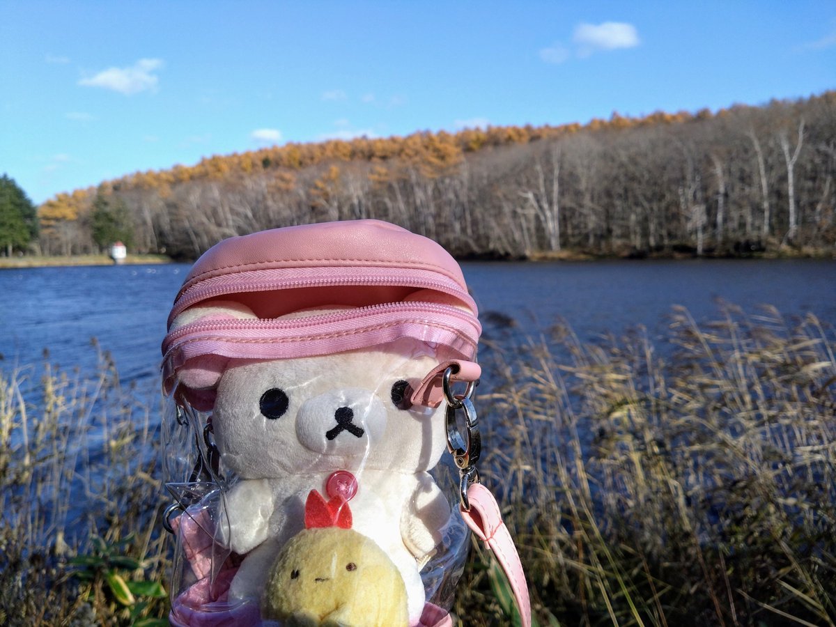 cha_bo_zu's tweet photo. 札幌市の西岡公園。
紅葉も見納めかなと思い、ウォーキングしてきました(´ｰ｀) https://t.co/iXWI7tkK59