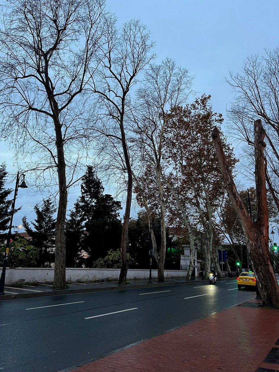 Yahya Efendi'de sabah namazı ve 7.40 Beşiktaş yürüyüşü