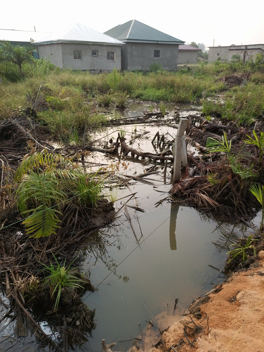 AbiluTangwa's tweet photo. The cost of inaction far outweighs the cost of action. The World Bank estimates that climate change could force 100 million people into poverty by 2030 if we don't take significant action. In contrast, proactive investment in climate resilience can save trillions in the long run. https://t.co/wQos02VgsQ