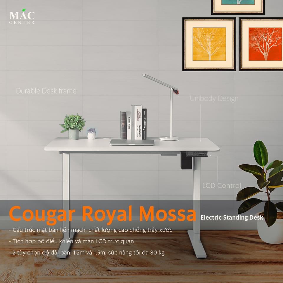 Nghiabanhang's tweet photo. Let's get creative with Mac Center and transform your workspace today. We offer a complete range of high-quality electric desks &amp; ergonomic chairs at the most affordable prices.

Inbox our Fanpage now or call 090909 4642 for fast delivery within 24 hours.

#MacCenter #Workspace https://t.co/OKBb4WCUPL