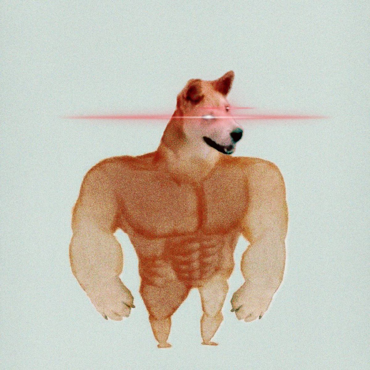 fedorastashev's tweet photo. @igrok_vremen @elonmusk @DOGE @doggoctoeth Hold #Doge and #Doggoe, dog narrative is bullish
I think it's gonna be like this for at least a year https://t.co/bQ3ZC9h9PI