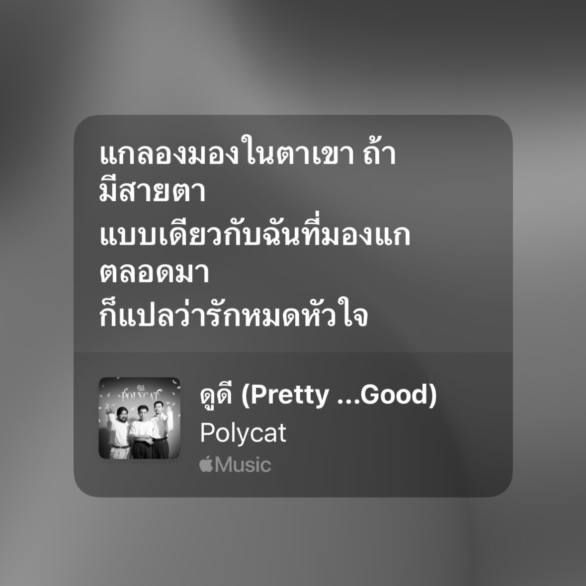 เพงพิณ ❦ (@marryjoli8s) on Twitter photo 