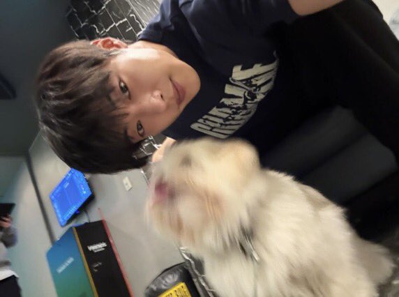 wdohwanm's tweet photo. Hello from this ーnot soー little furry one. https://t.co/OVsJbpYU8w