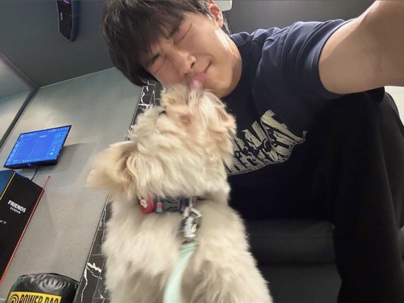 wdohwanm's tweet photo. Hello from this ーnot soー little furry one. https://t.co/OVsJbpYU8w