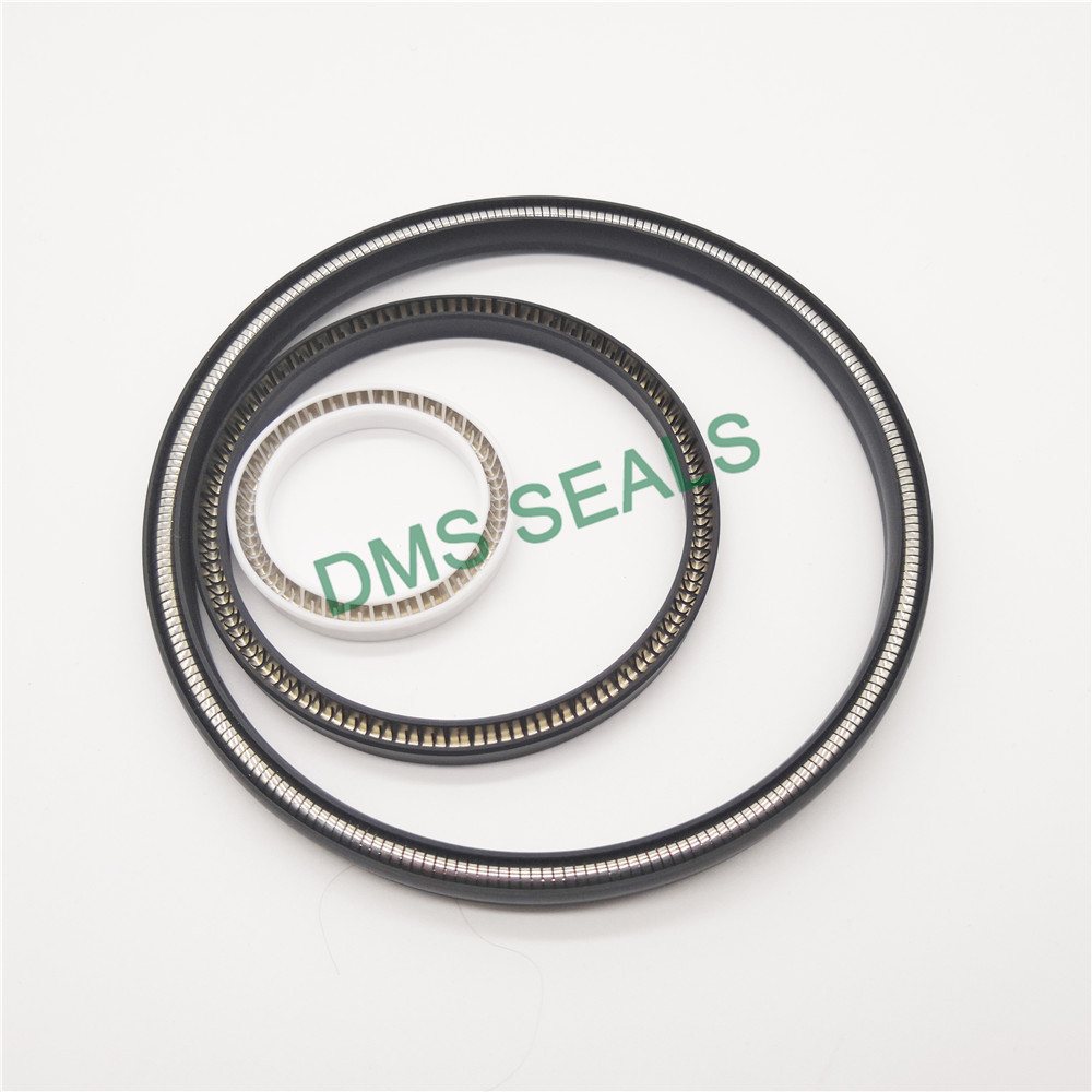 DMSseals's tweet image. Here&apos;s what to expect in DMS Seals. dmsseals.com/carbon-fiber-f… #springenergizedseals #springloadedseal